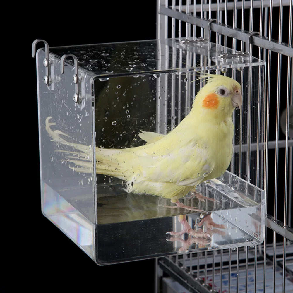 Bird Supplies