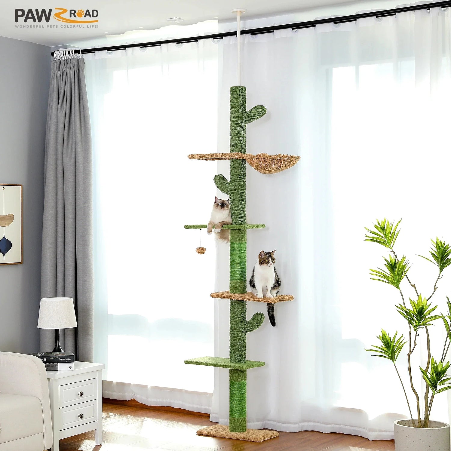 Cat Supplies
