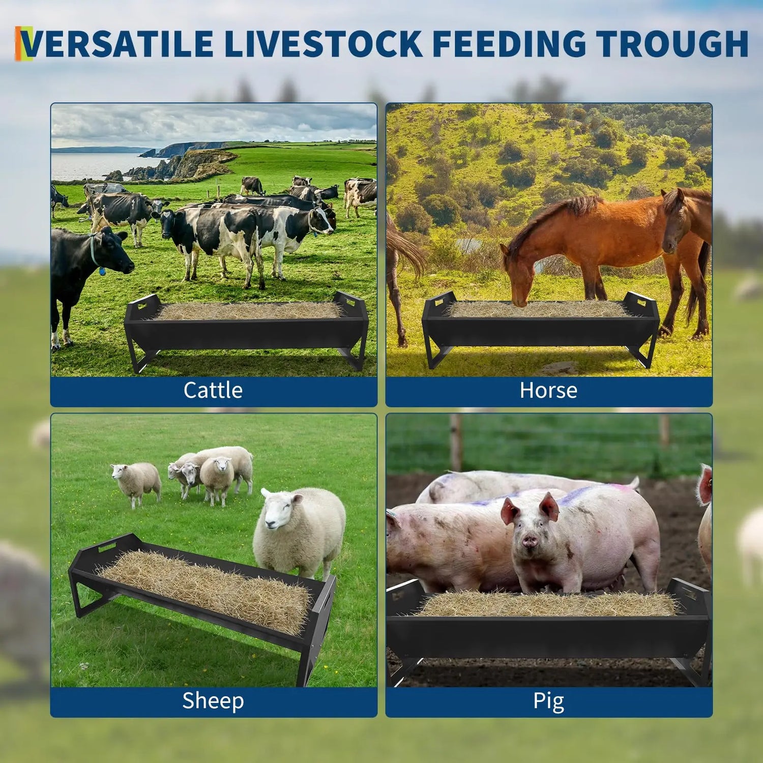 Farm Animals