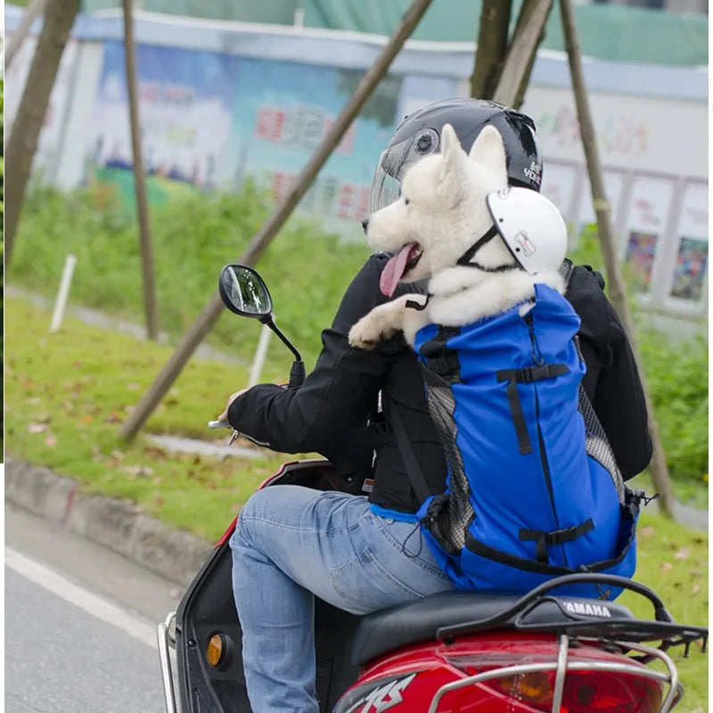 Travel