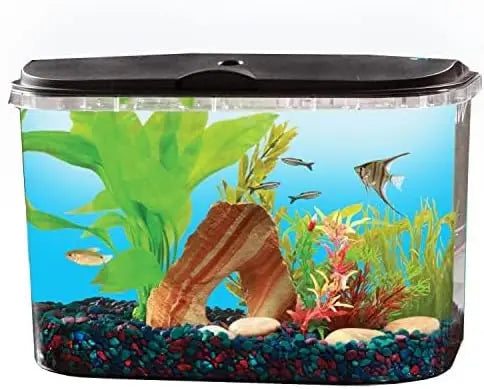 Aquarium Supplies