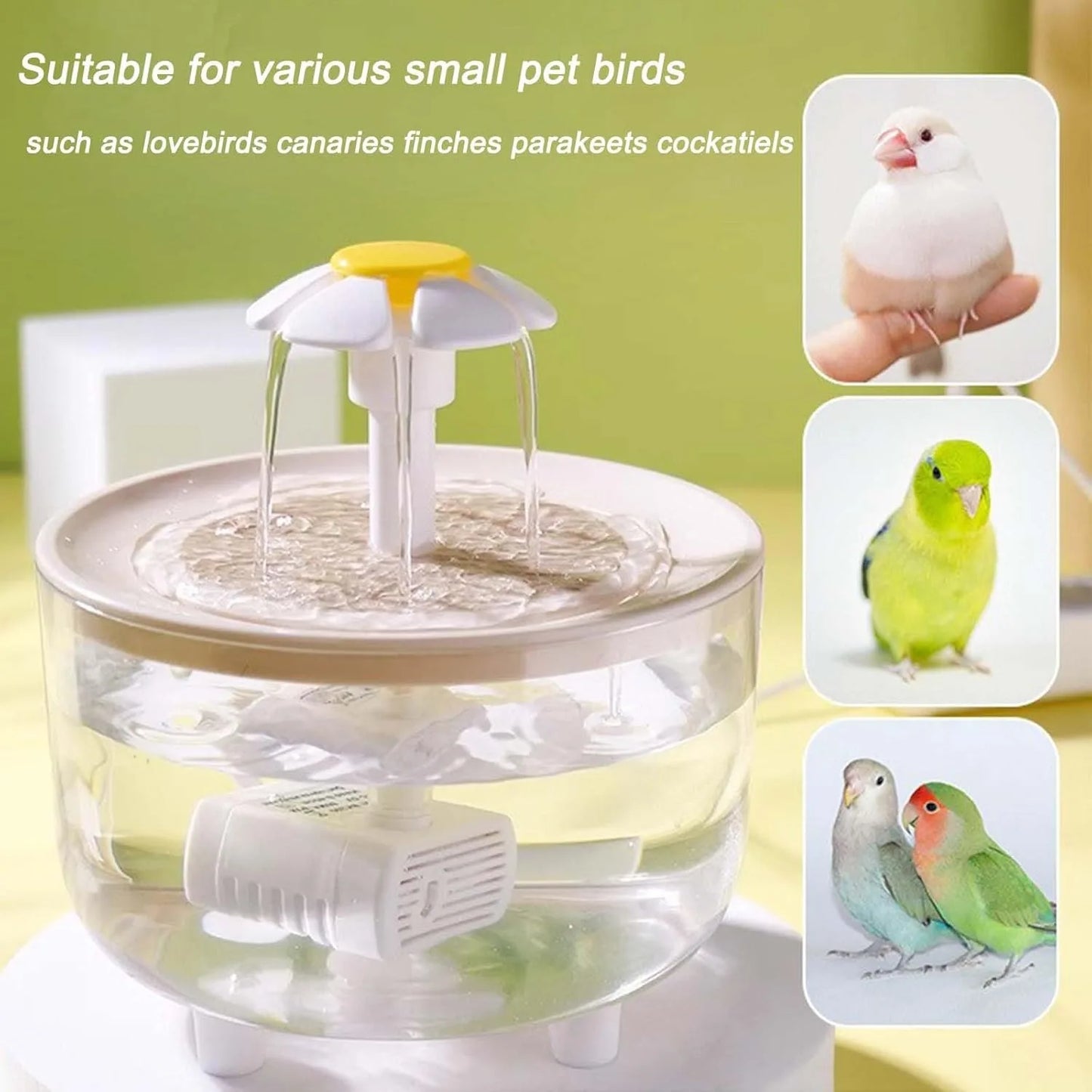 Indoor Bird Bath Fountain for Small Pets