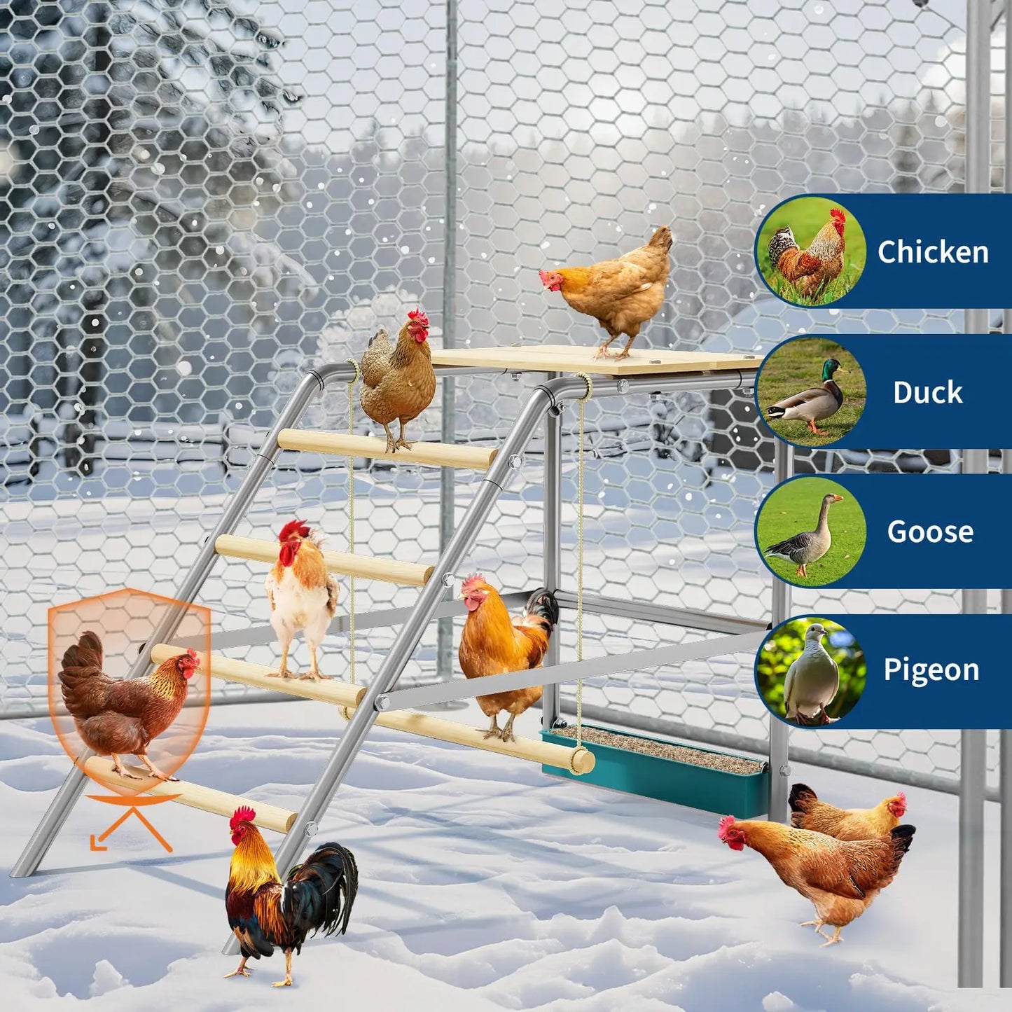 Multi‑Tier Chicken Roost Ladder with Steel Frame & Wooden Perches