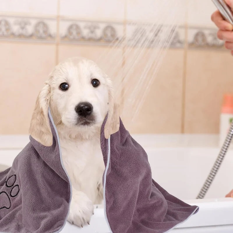 Ultra‑Soft Absorbent Pet Towels