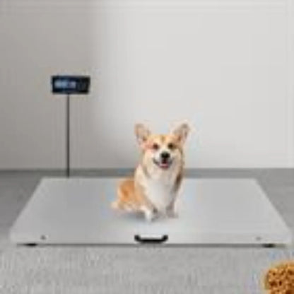 Heavy‑Duty Digital Livestock Platform Scale