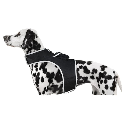 Smart Pet Tracker – GPS, Motion Detection, Real‑Time Android App