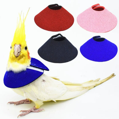 Adjustable Bird Accessories Anti-bite Anti-peckin Bird Cloak Parrot Elizabethan Circle Bird Neck Sleeve Bird Recovery Collar