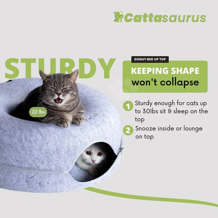 Indoor Cat Donut Cave – Bed, Tunnel & Scratcher Combo