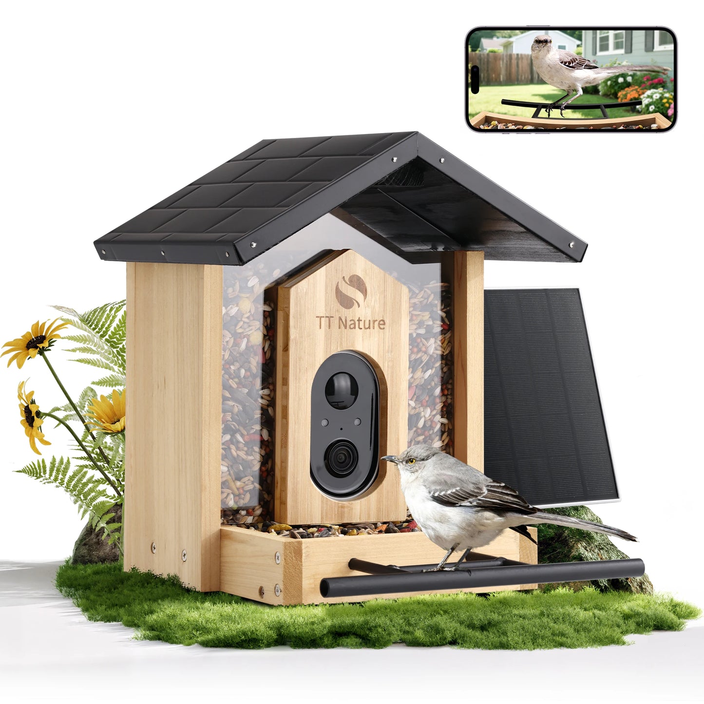 Bird Feeder Camera with Species ID