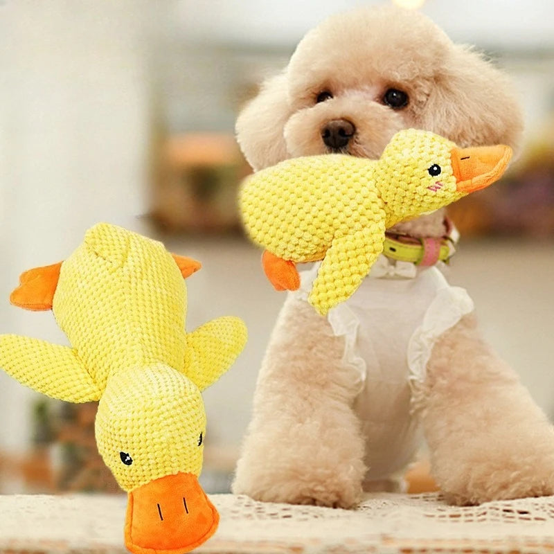 Durable Dog Toy for All Sizes