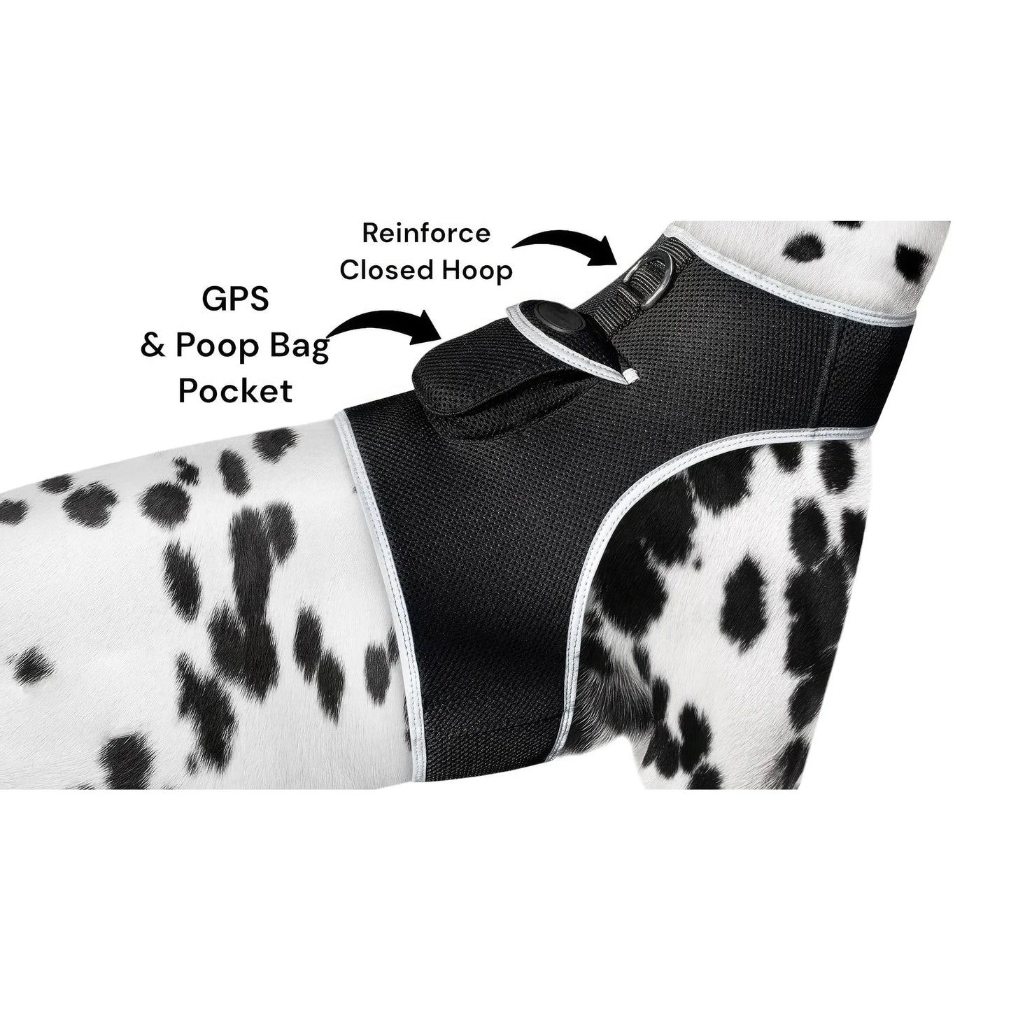 Smart Pet Tracker – GPS, Motion Detection, Real‑Time Android App