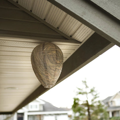 Hanging Wasp Deterrent Decoy – Non‑Toxic & Eco‑Friendly