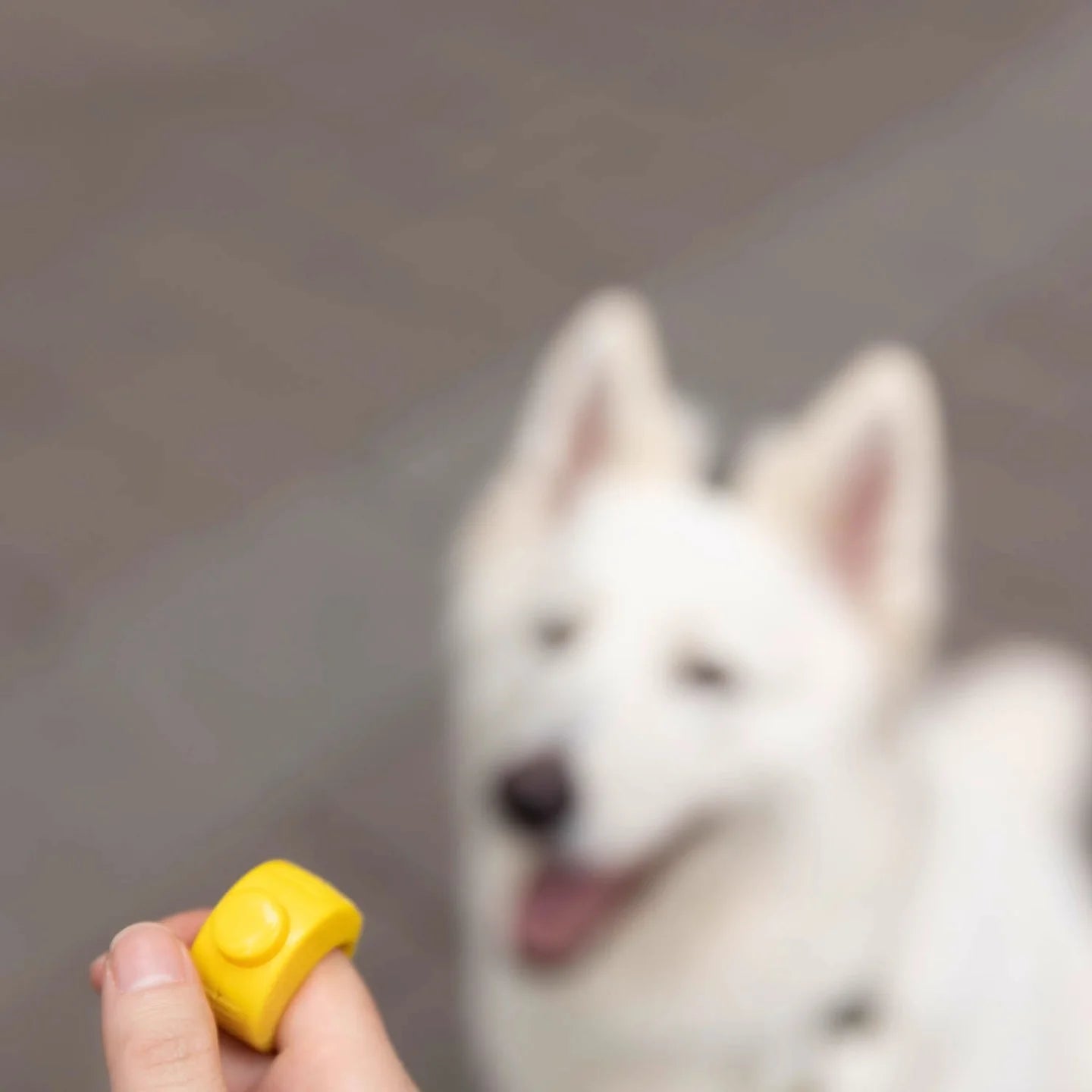 Mini Ring Pet Clicker – Train Smarter, Faster, Easier