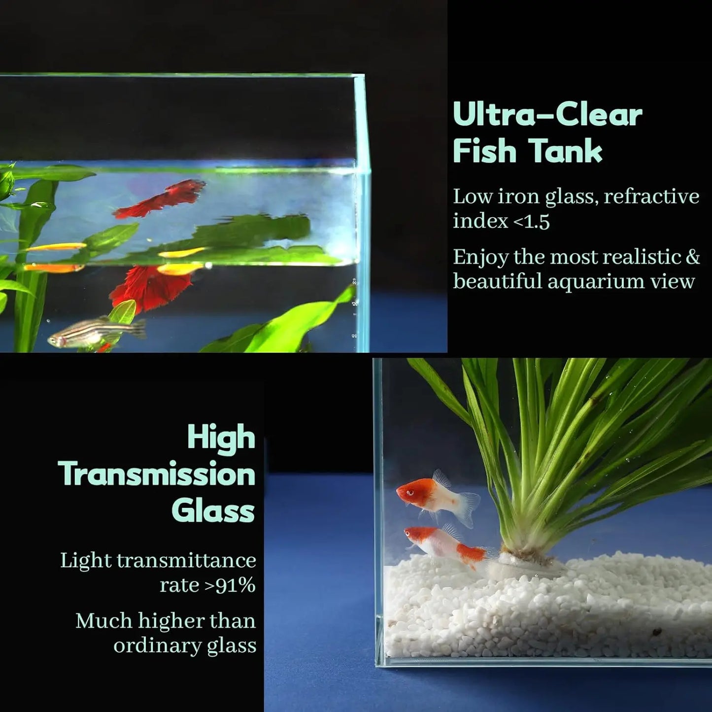Rimless Glass Aquarium with Cover, Feeding Ring & Cleaning Tools
