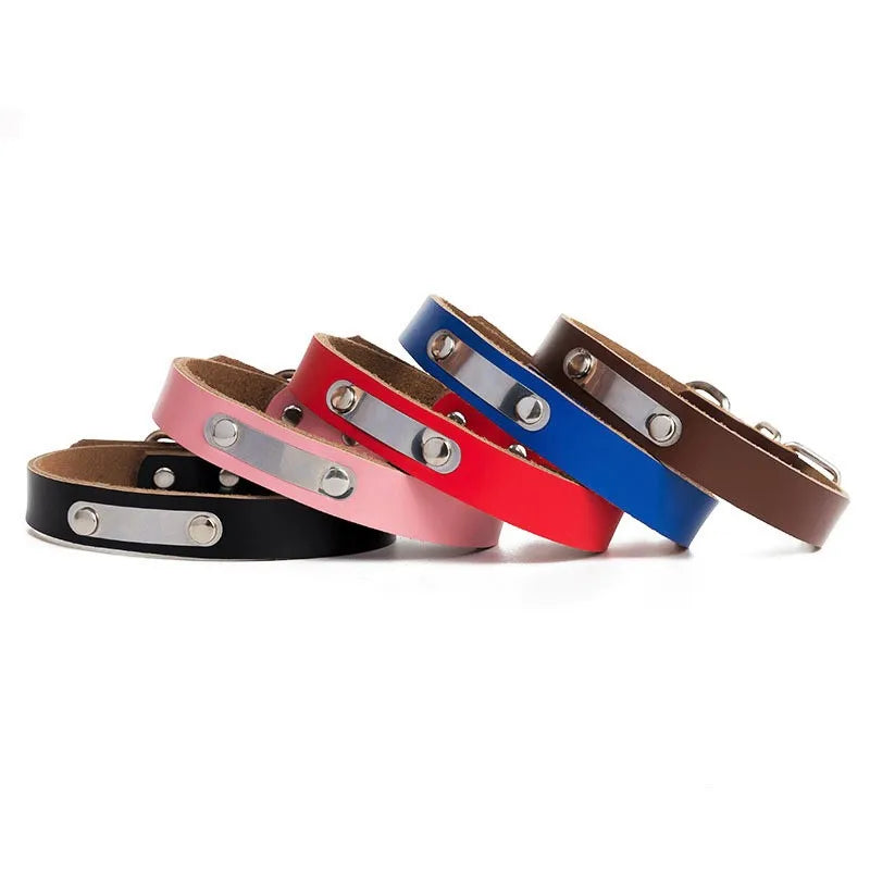 Wholesale leather collar with engravable tag.