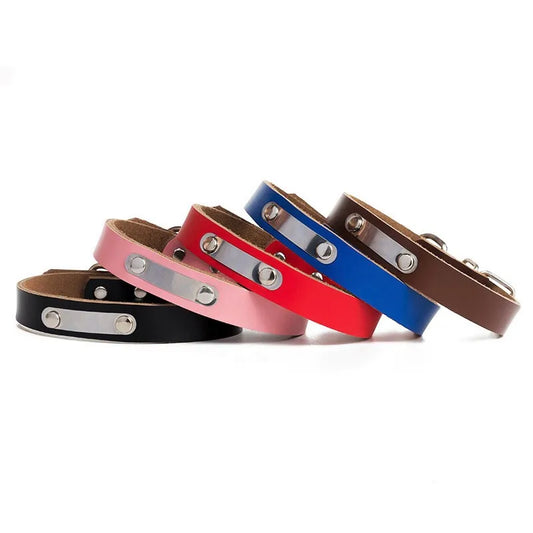 Wholesale leather collar with engravable tag.