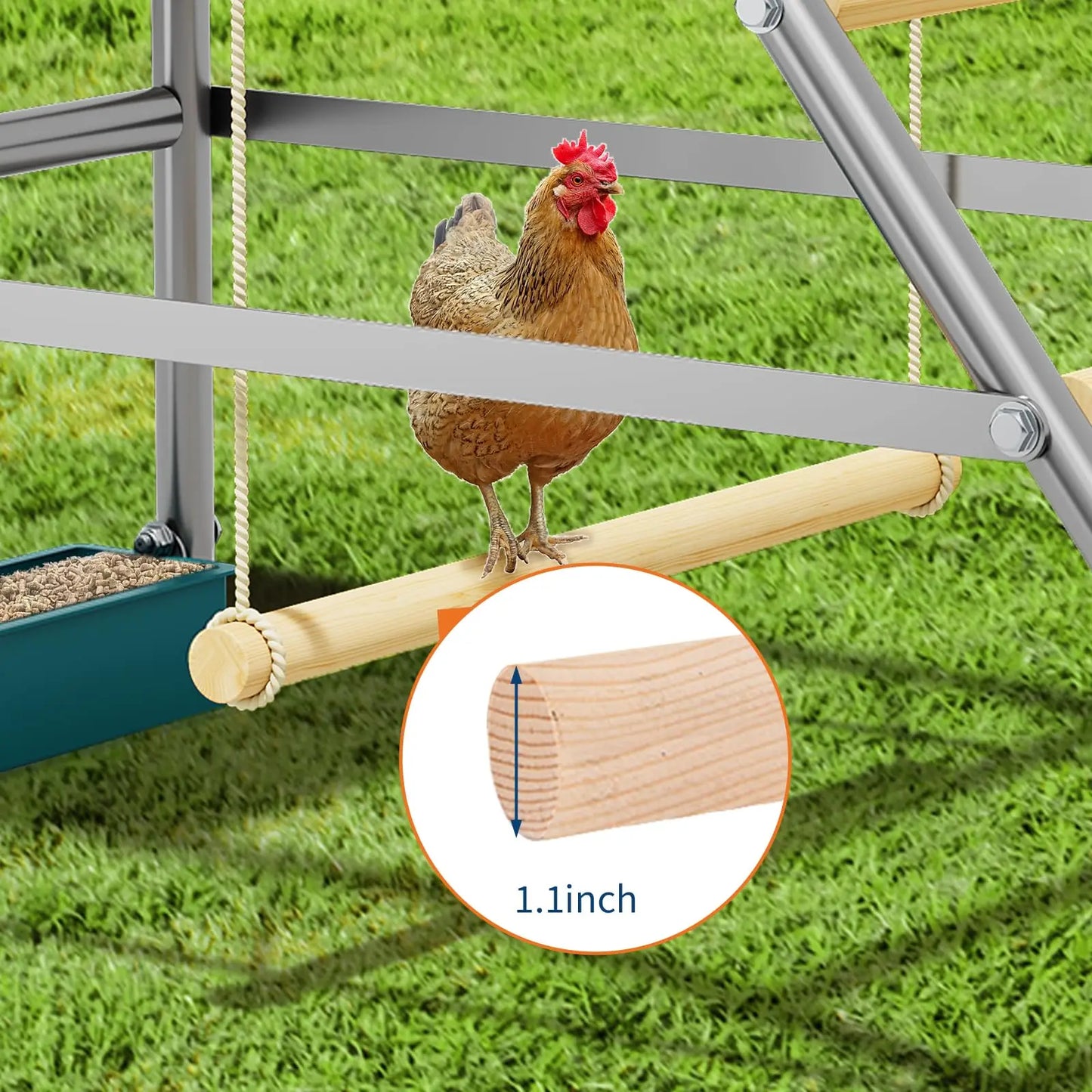 Multi‑Tier Chicken Roost Ladder with Steel Frame & Wooden Perches