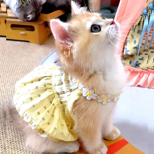 Little Wreath Princess Skirt