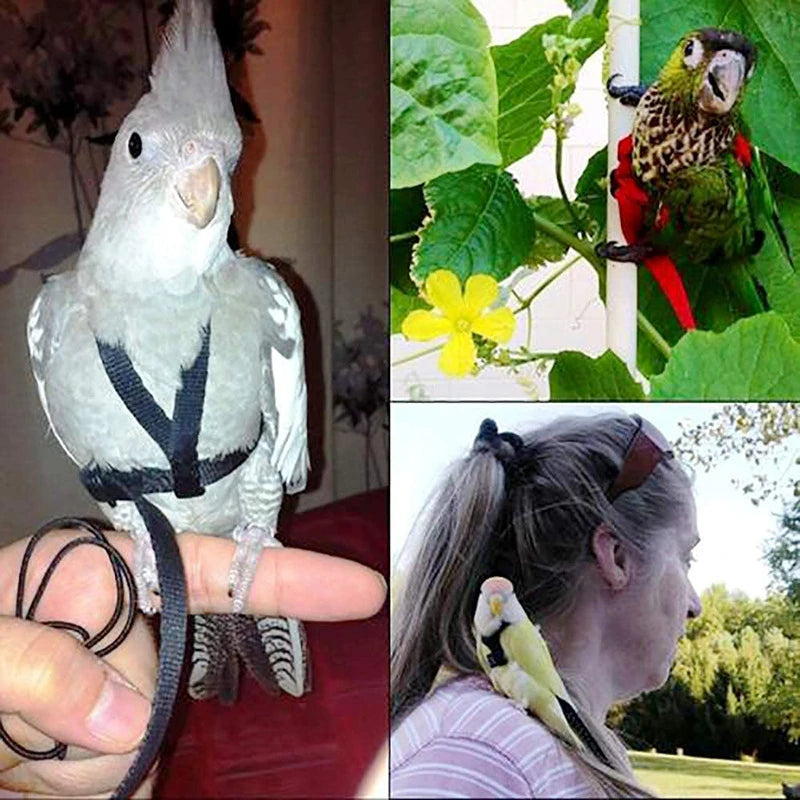 Parakeet & Cockatiel Flying Rope Harness
