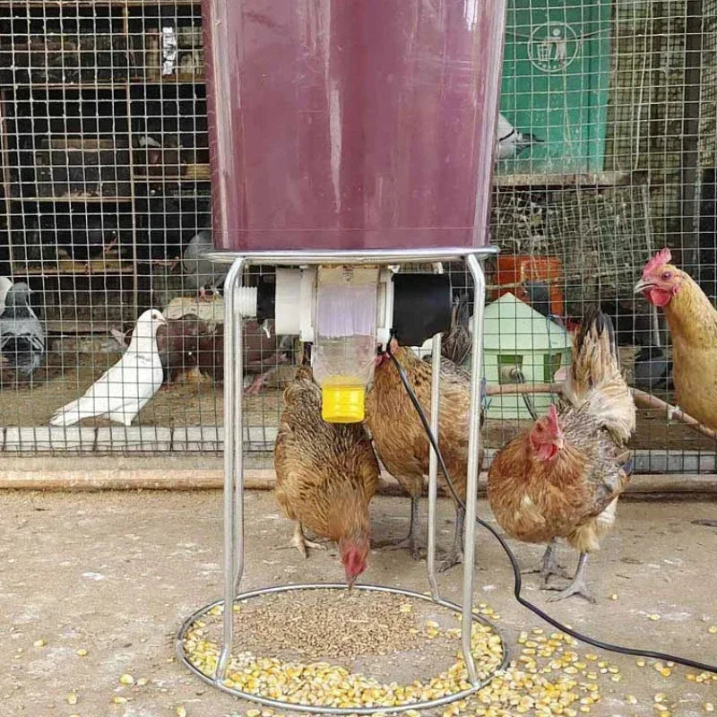 Automatic Poultry Feeder with Smart Timer
