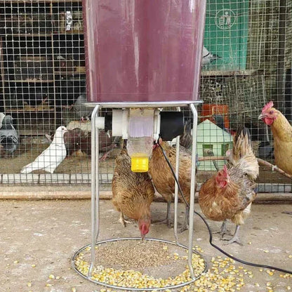 Automatic Poultry Feeder with Smart Timer