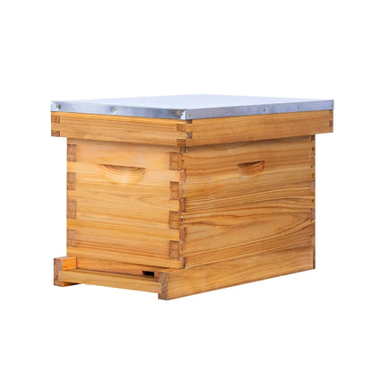 5‑Frame Beehive with Waxed Frames