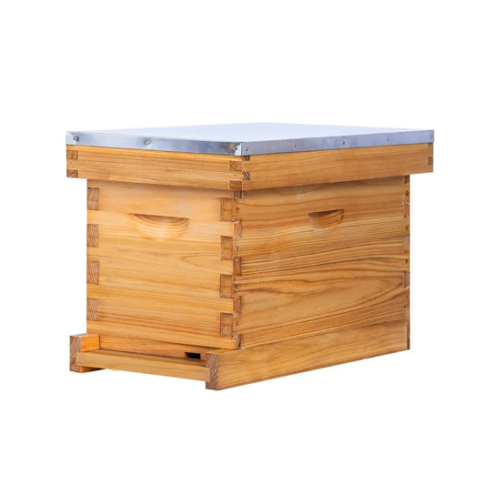 5‑Frame Beehive with Waxed Frames