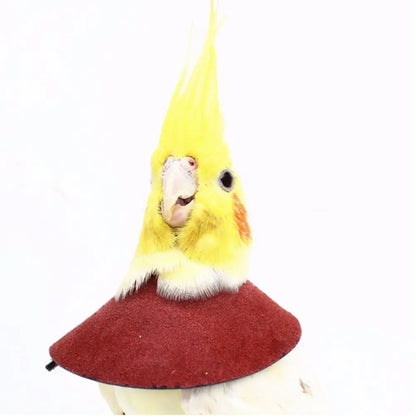 Adjustable Bird Accessories Anti-bite Anti-peckin Bird Cloak Parrot Elizabethan Circle Bird Neck Sleeve Bird Recovery Collar