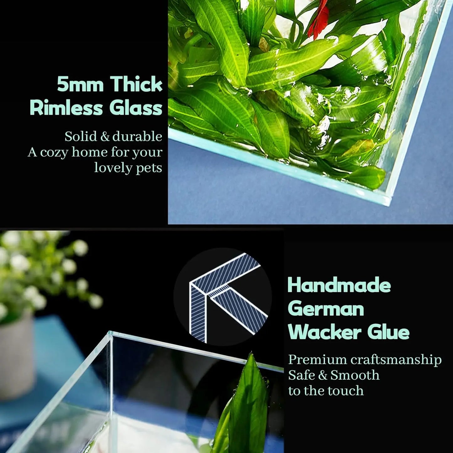 Rimless Glass Aquarium with Cover, Feeding Ring & Cleaning Tools
