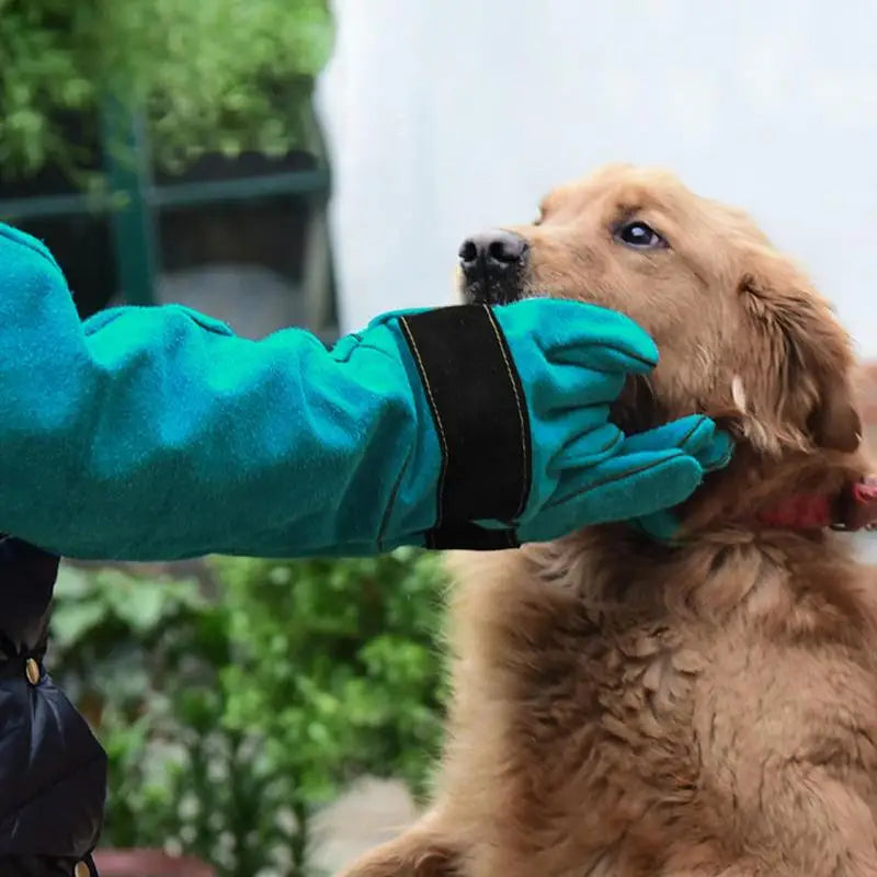 Protective Anti‑Bite Handling Gloves