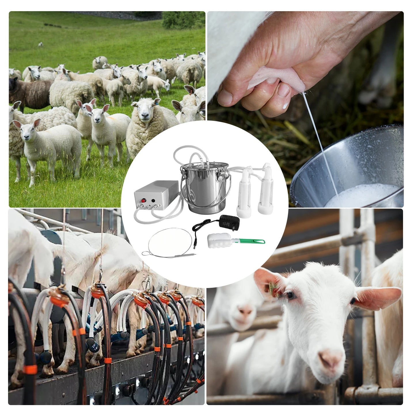 Electric Pulsation Milker for Goats/Sheep – 3L Bucket Set