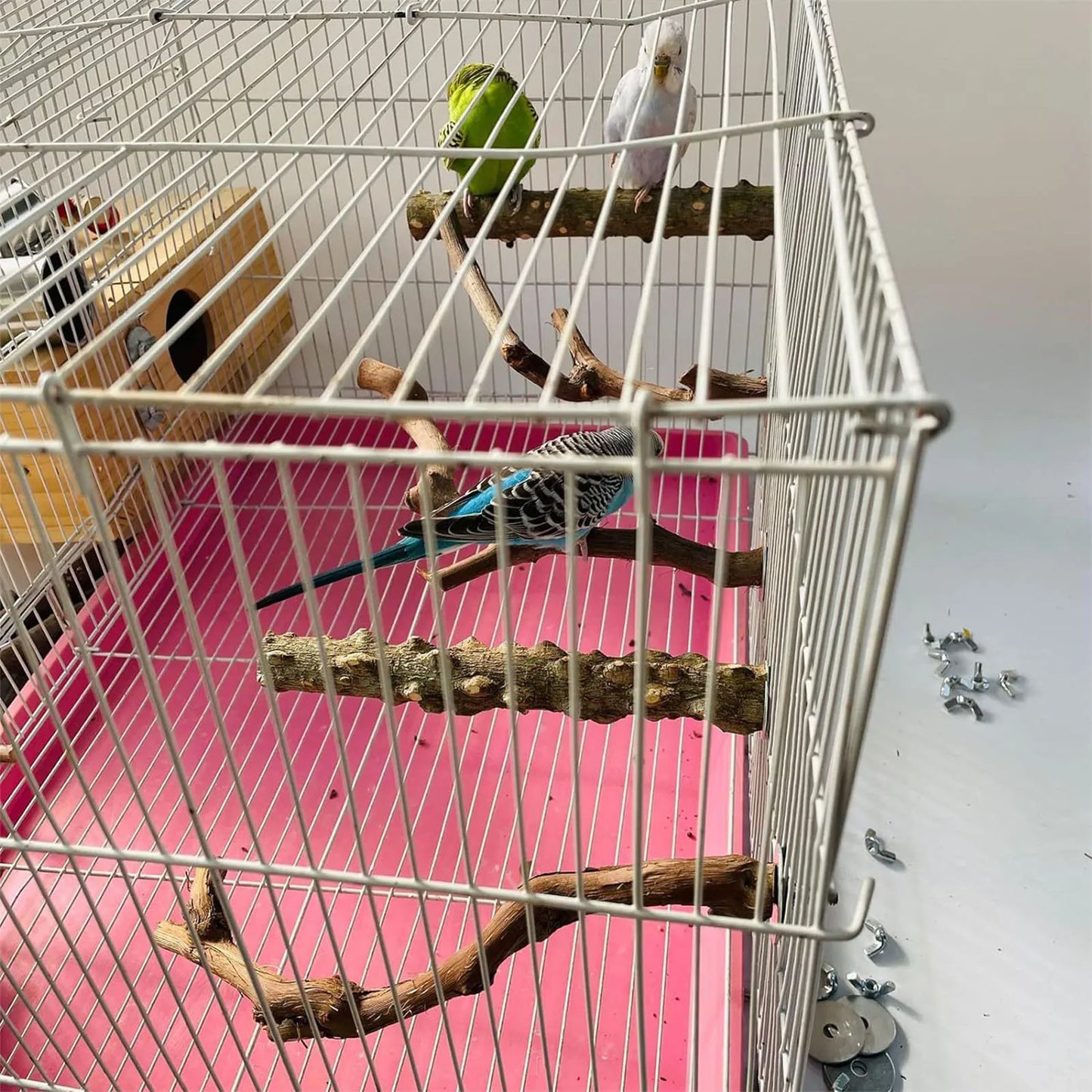 Small Parrot Wooden Perch