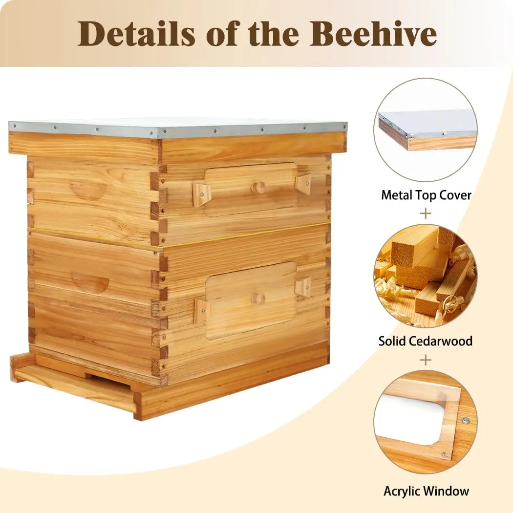 8 Frame Langstroth Beehive, Beeswaxed Coated Starter Kit with Beehive Frames and Waxed Foundations (1 Deep Box & 1, Customized