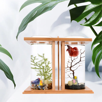 Desktop Glass Betta Tank with LED & Bamboo Base