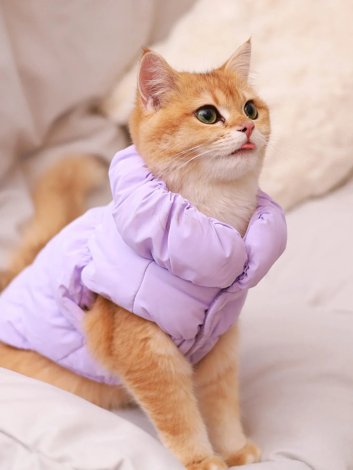 Snuggle‑Pup Puffy Jacket (Autumn/Winter)