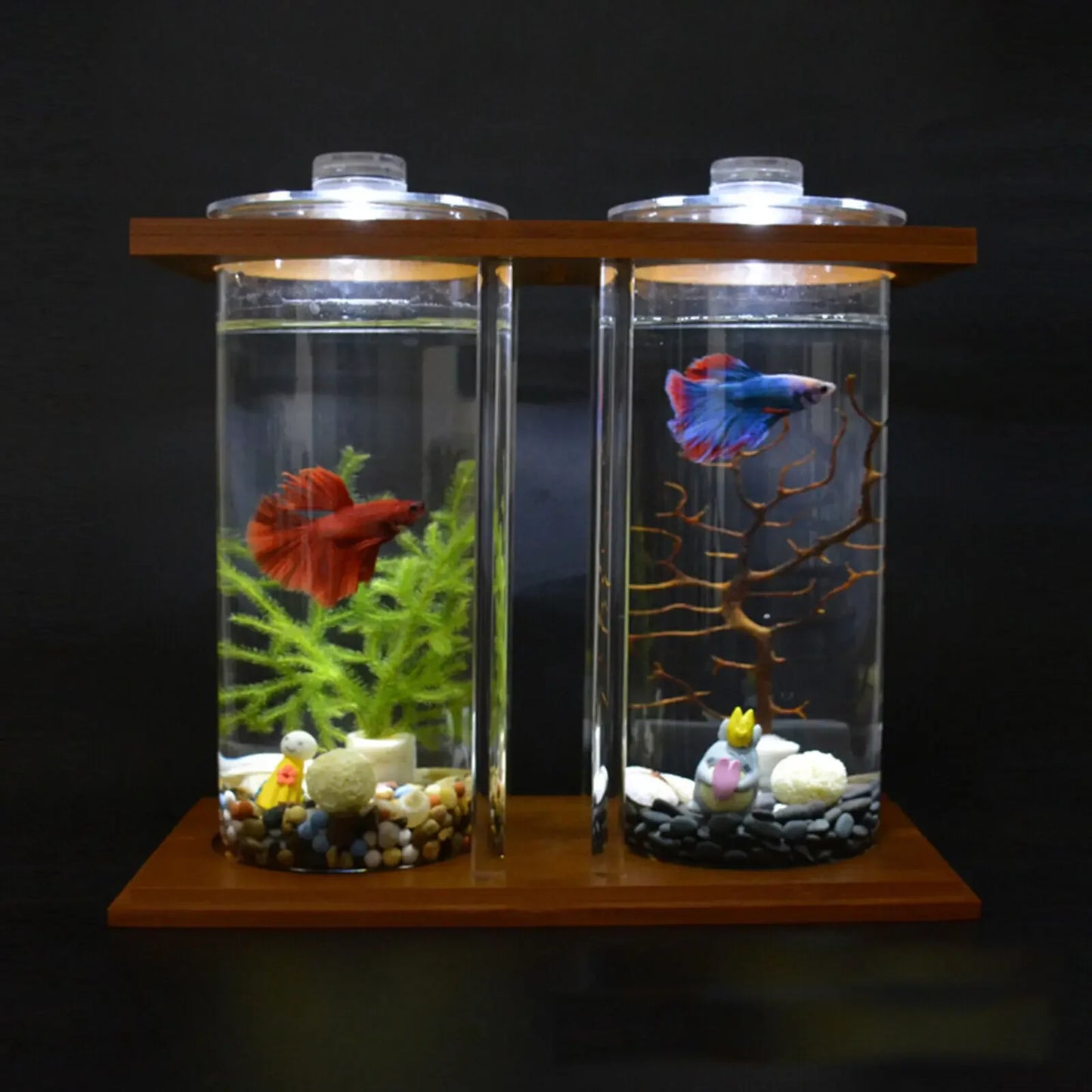Desktop Glass Betta Tank with LED & Bamboo Base