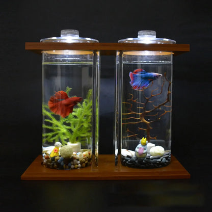 Desktop Glass Betta Tank with LED & Bamboo Base