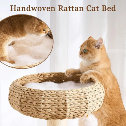 The Cat Castle Deluxe – Rattan Cave & Groom‑Me Station