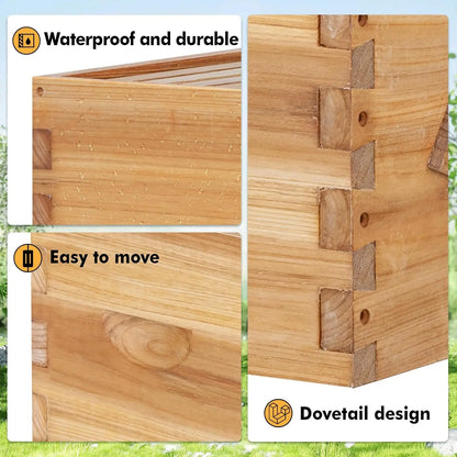5‑Frame Beehive with Waxed Frames