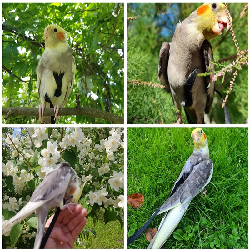 Parakeet & Cockatiel Flying Rope Harness