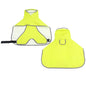 Rainy Season Puppy Dog Raincoat