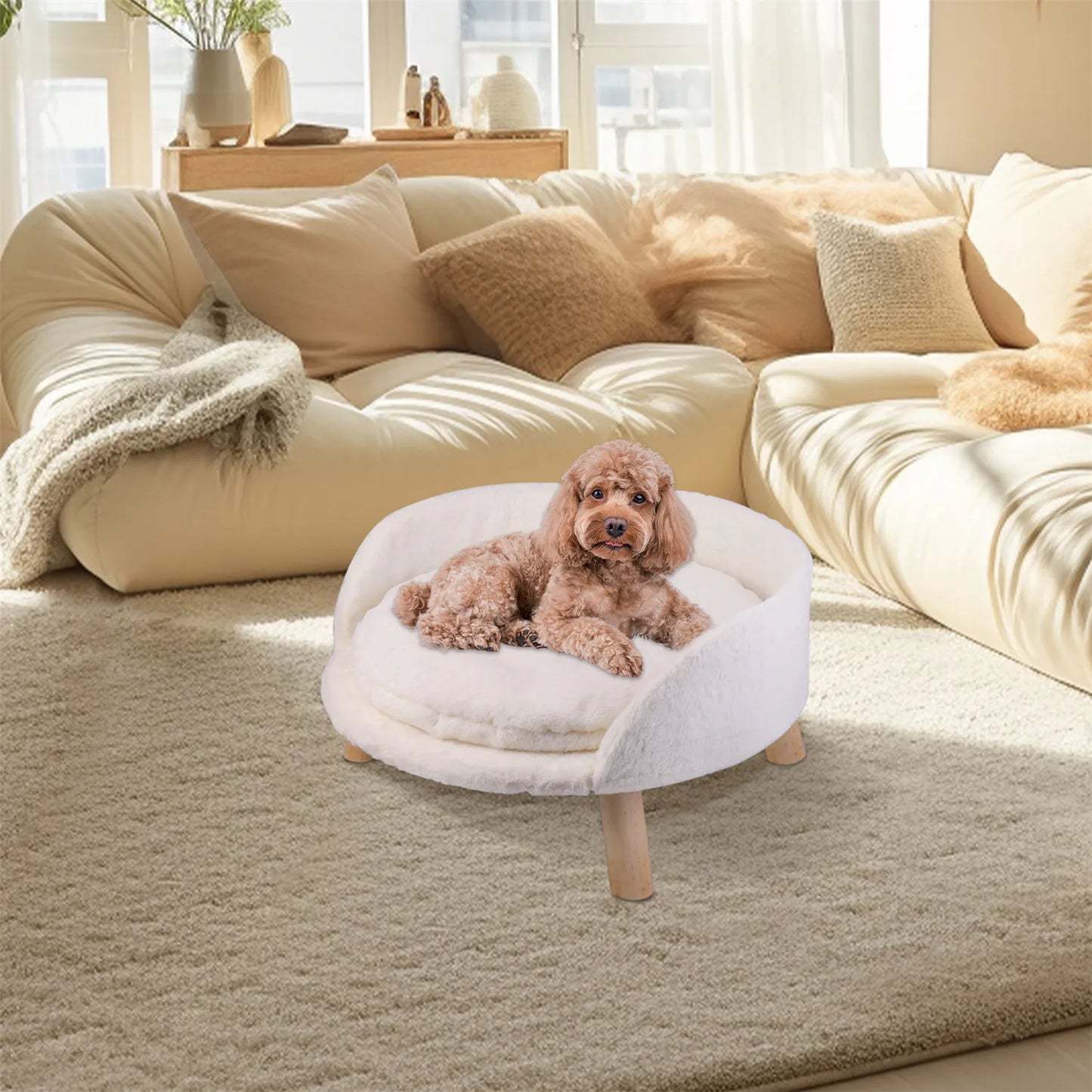 Pet Sofa Bed, Couch Bed.