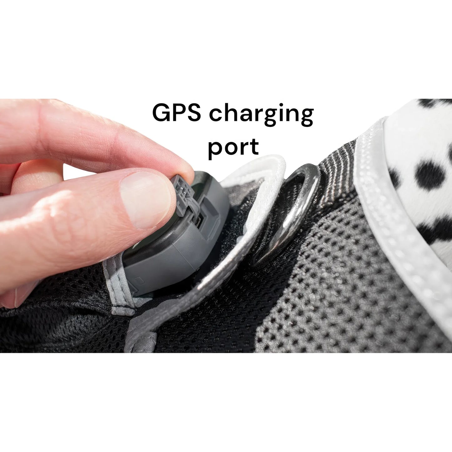 Smart Pet Tracker – GPS, Motion Detection, Real‑Time Android App