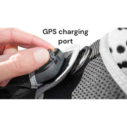 Smart Pet Tracker – GPS, Motion Detection, Real‑Time Android App