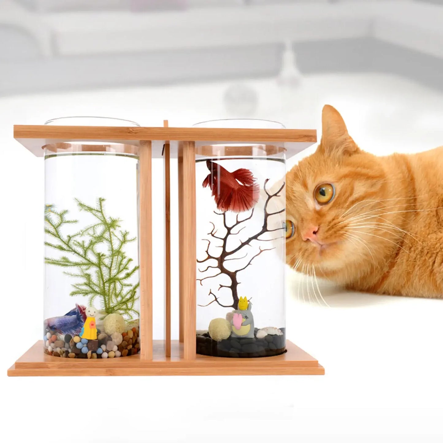 Desktop Glass Betta Tank with LED & Bamboo Base