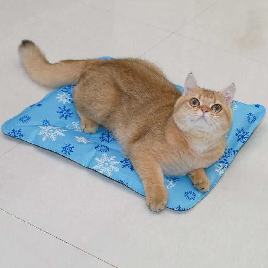 Summer Splash Cooling Pad for Dogs & Cats