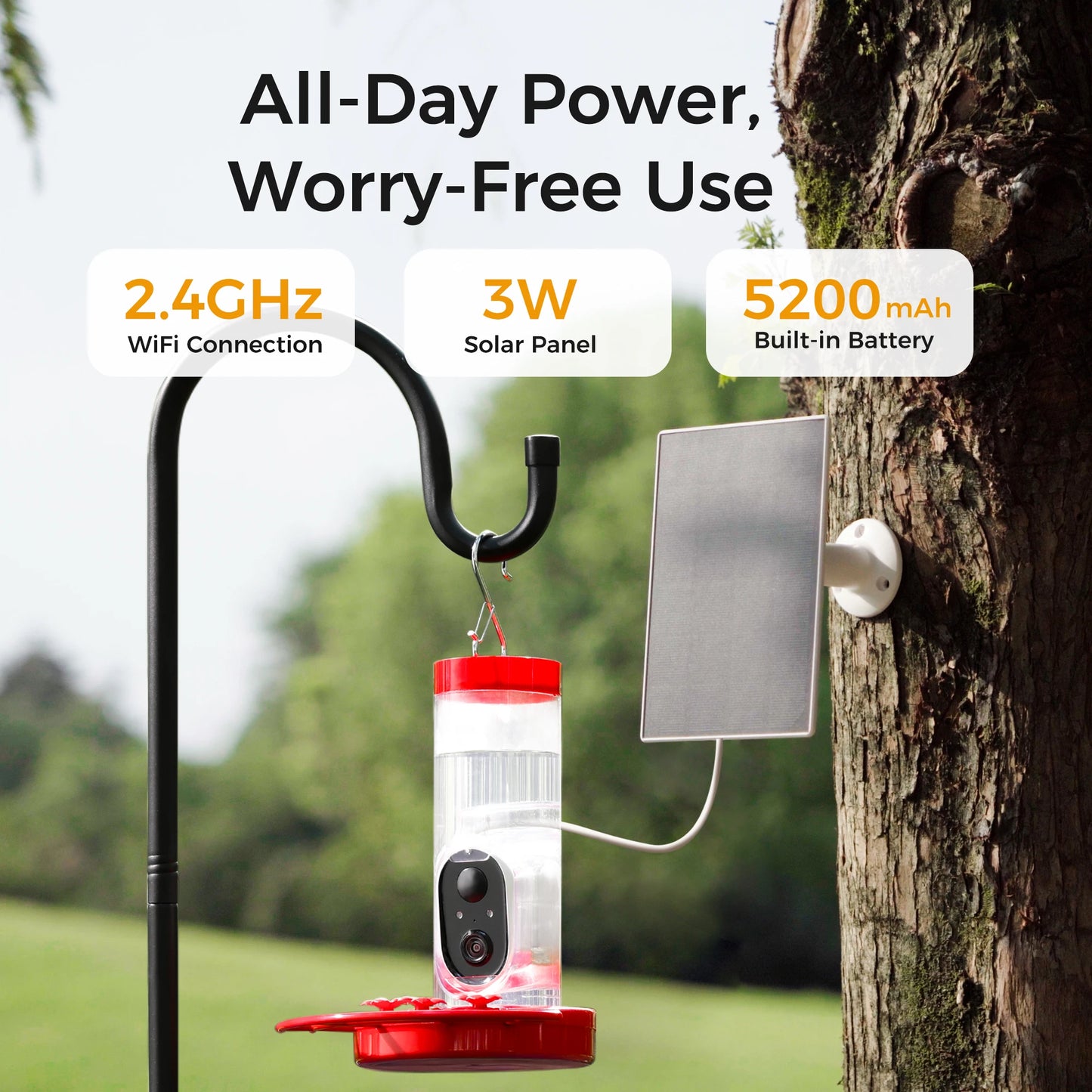 Outdoor Hummingbird Feeder with Solar Powered Camera