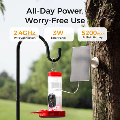 Outdoor Hummingbird Feeder with Solar Powered Camera