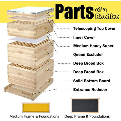 10‑Frame Complete Beehive Starter Kit – Beginner Hive with Waxed Frames & Supplies