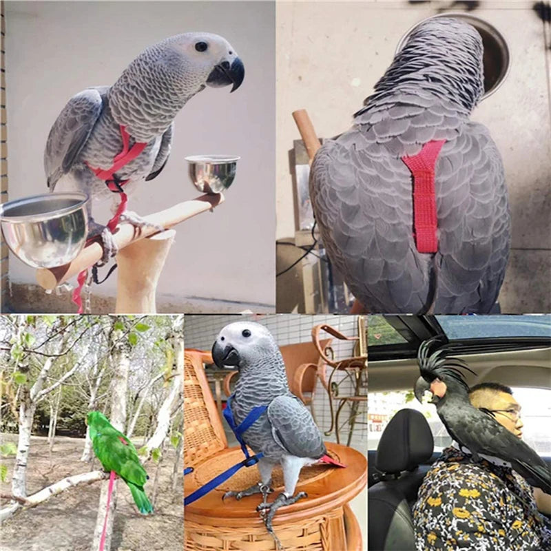 Parakeet & Cockatiel Flying Rope Harness